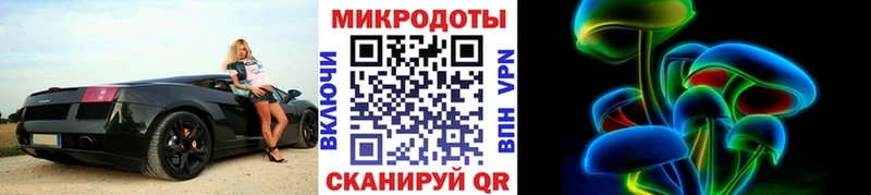 Псилоцибиновые грибы Psilocybe  Купить где  Остров 